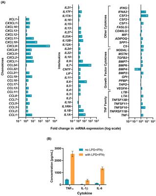 Application of an in vitro neuroinflammation model to evaluate the efficacy of magnesium-lithium alloys